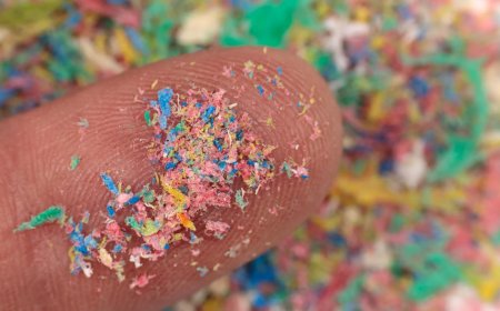 Microplastics may be quietly damaging your brain and fueling Alzheimer’s and Parkinson’s