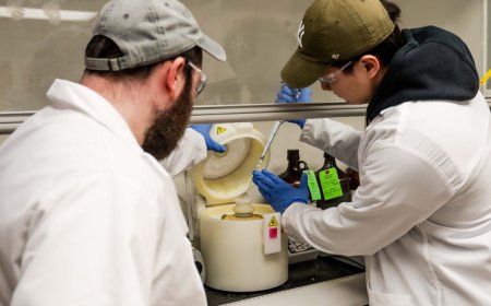 Electric Eel Biology Inspires Powerful Gel Battery